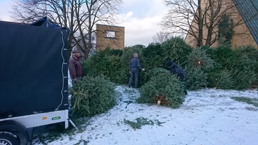 Christbaumaktion